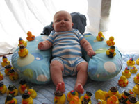 ducks